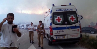 Inc&ecirc;ndios, recupera&ccedil;&atilde;o p&oacute;s-cat&aacute;strofe